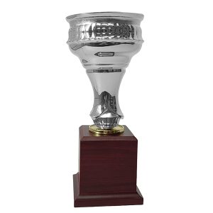 Copa CP22