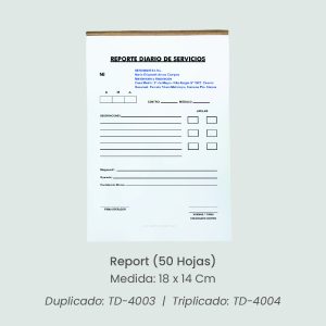 Report PI-401